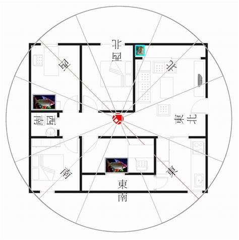 坐東南朝西北生肖|坐東南朝西北房屋的10個風水常見問題及解決方案 